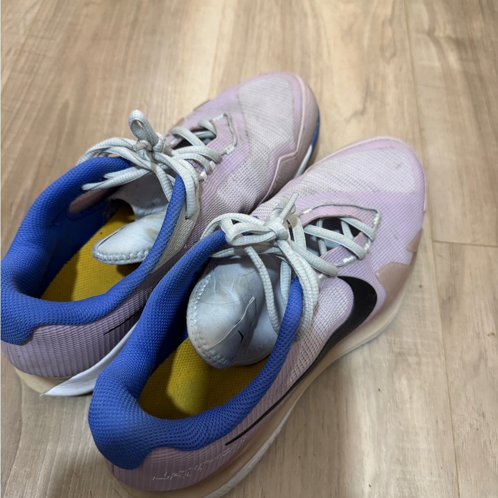 Nike Court Purple and Blue Athletic Shoes